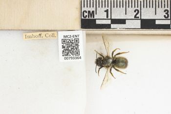 Media type: image;   Entomology 793364 Aspect: Labels